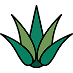 icono agave