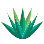 Homepage icono tequila